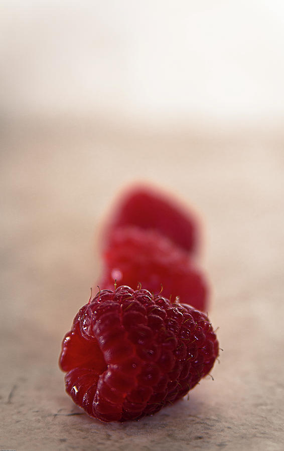 Raspberry Delight Photograph by Deborah Klubertanz - Fine Art America