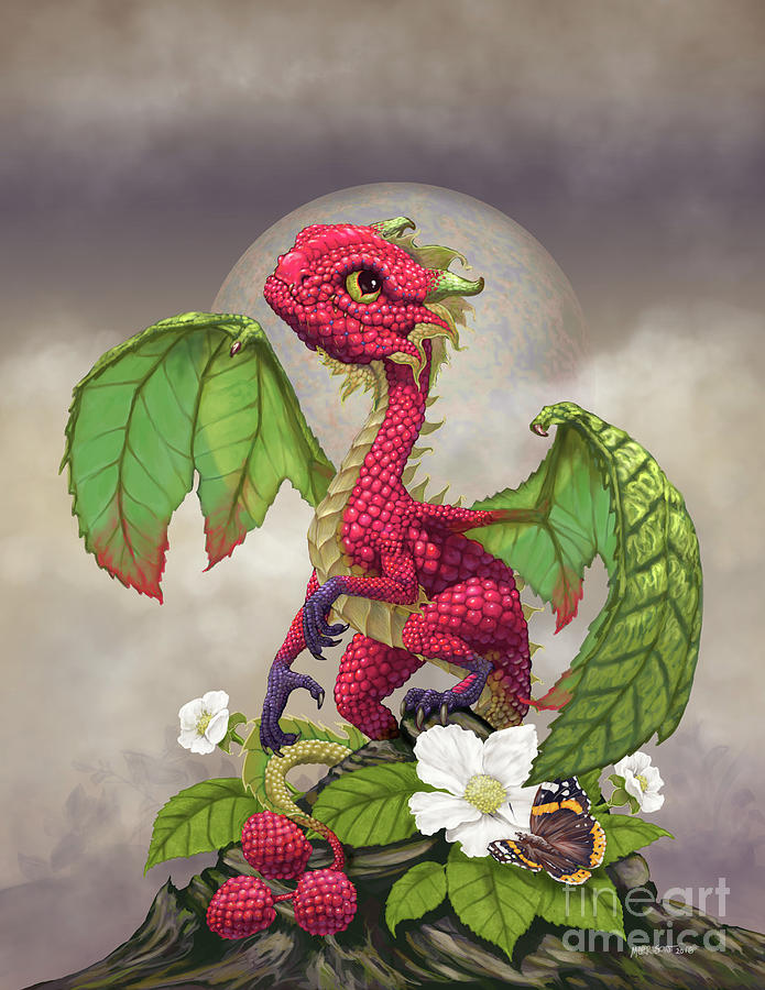 Raspberry Dragon Digital Art by Stanley Morrison