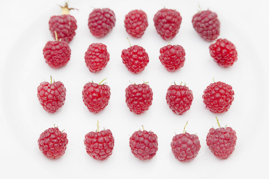 Raspberry Photograph by Maj Seda