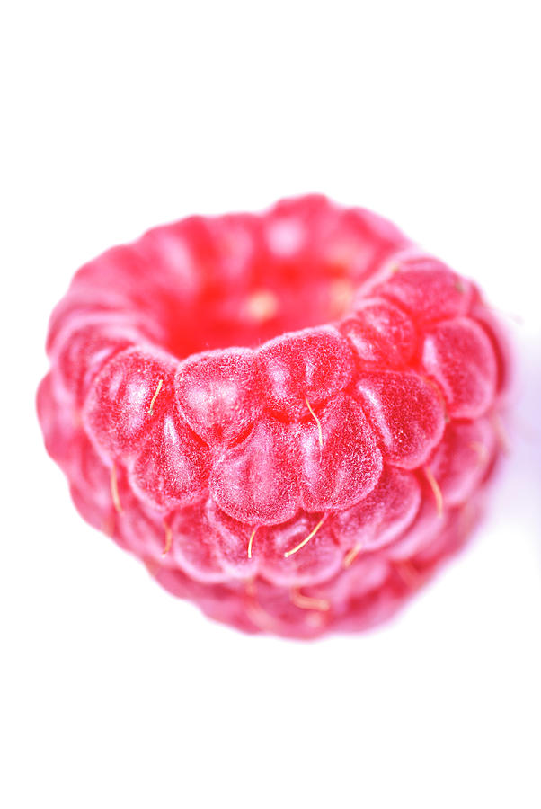 Raspberry on white background Photograph by Vishwanath Bhat