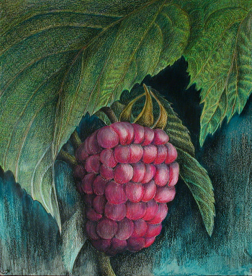 Raspberry Painting by Sandy Clift