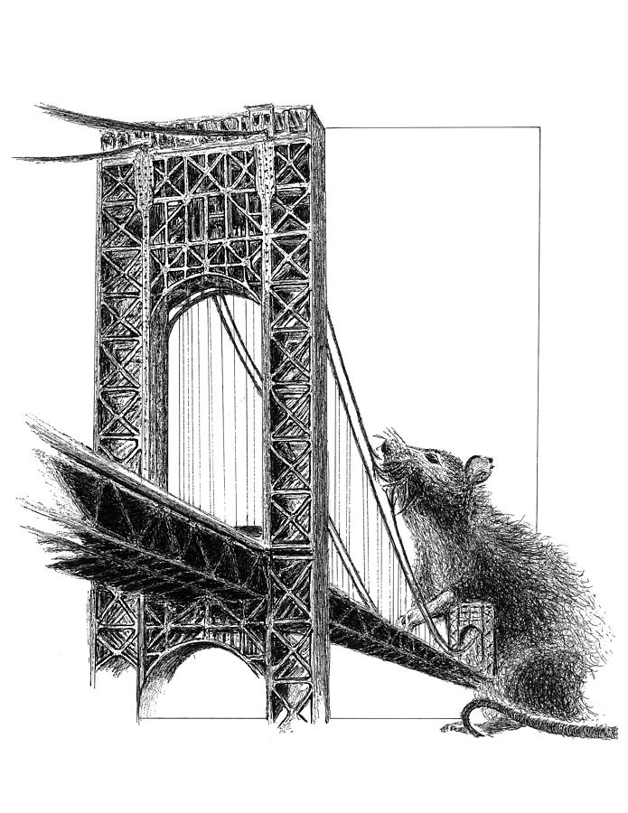 Architecture Drawing - Rat Attack by John Prehart
