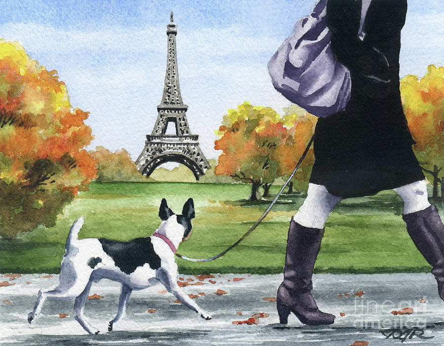 Paris Painting - Rat Terrier in Paris by David Rogers