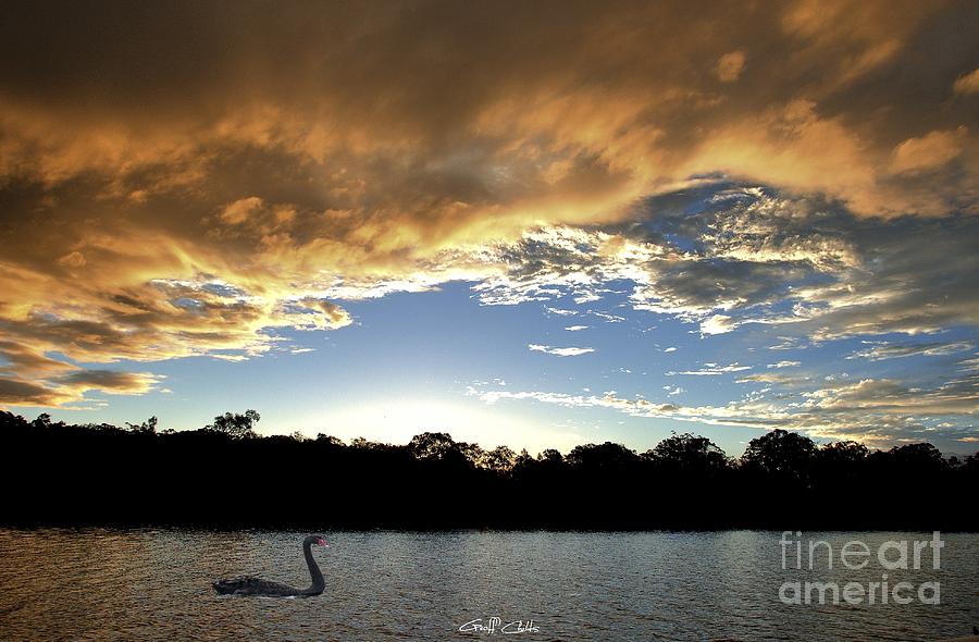 Rathmines Sunset with Swan. Original exclusive photo art. Photograph by Geoff Childs
