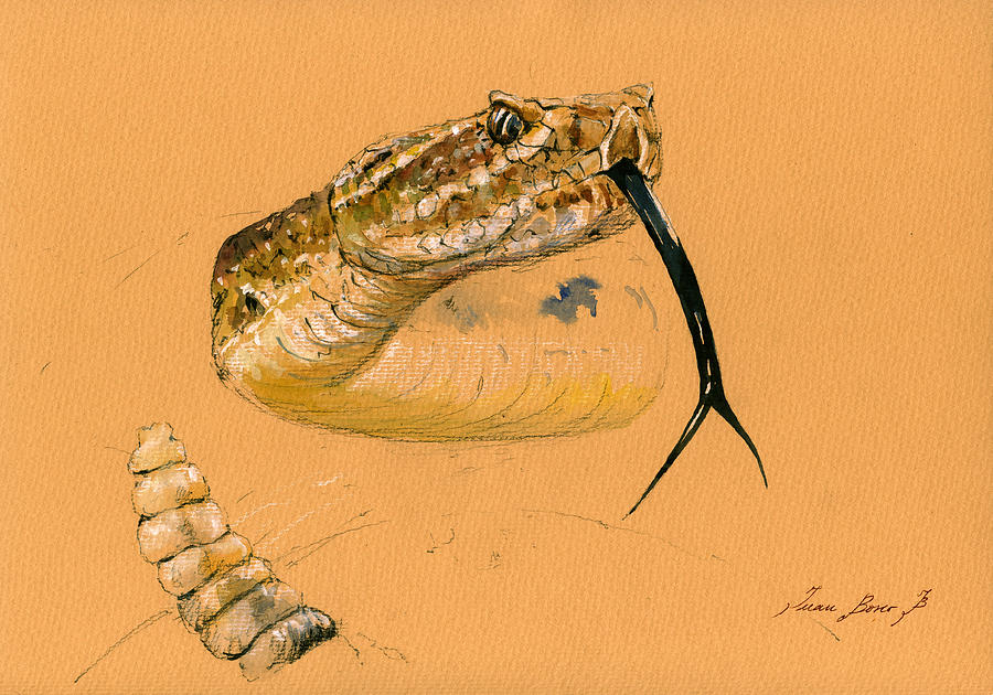 Rattlesnake Painting - Rattlesnake painting by Juan  Bosco
