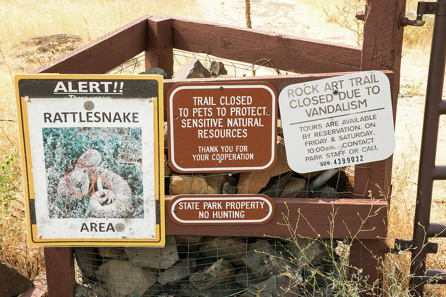 Rattlesnakes But No Pets Photograph by Tom Cochran