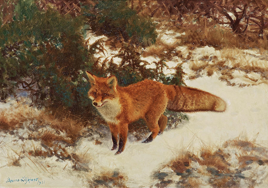 Fox in the winterforest Painting by Bruno Liljefors - Pixels