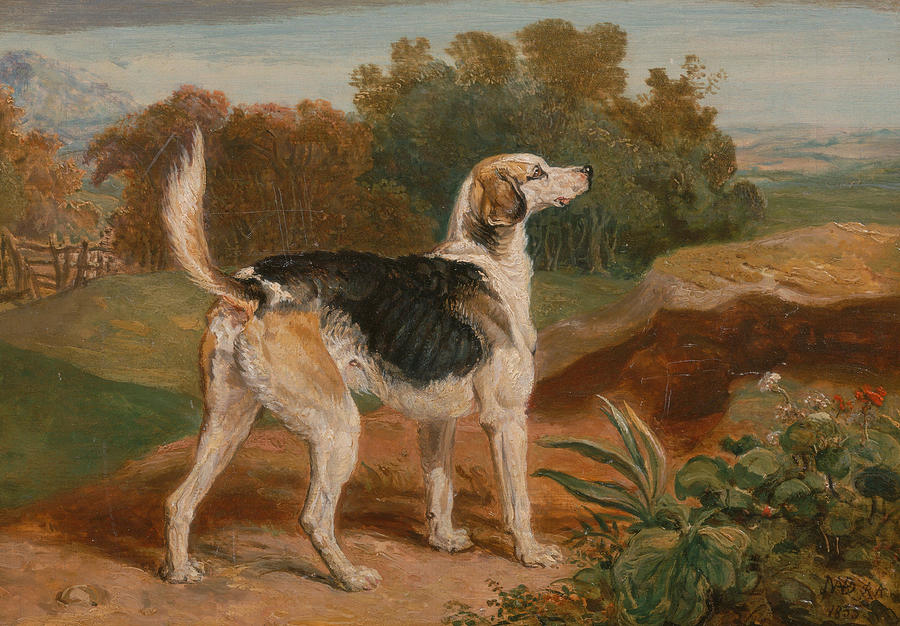 Ravager, one of the Lambton Hounds Painting by James Ward