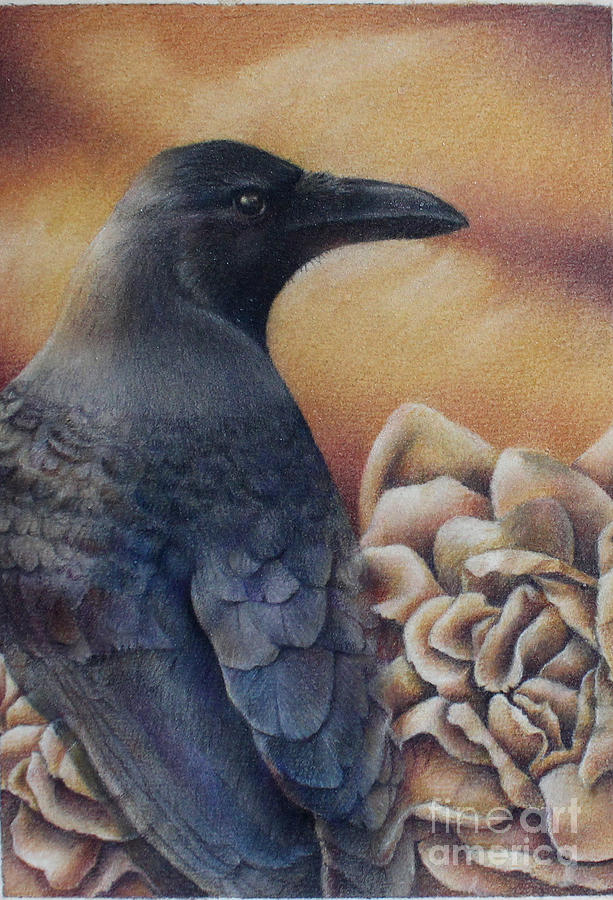 Colored Pencil Drawing - Raven and Roses by Kay Walker