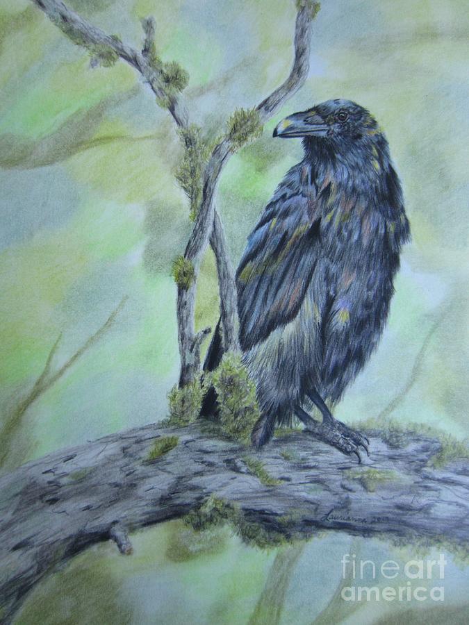 Raven Colors Drawing by Laurianna Taylor