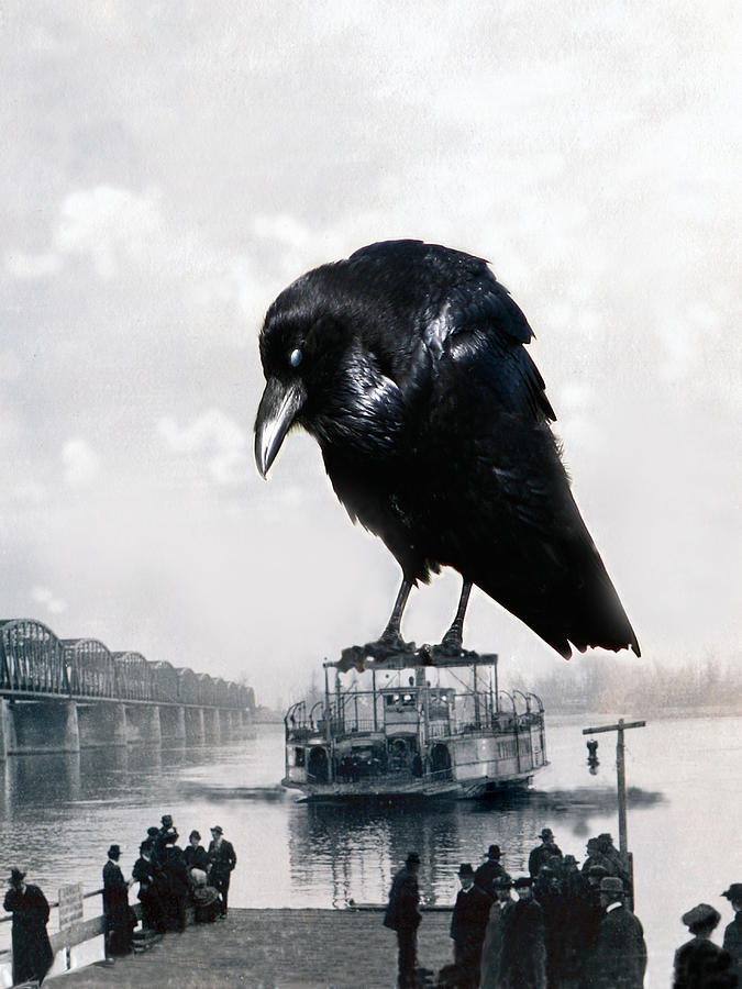 Raven Crossing the Columbia Digital Art by Kathryn LeMieux