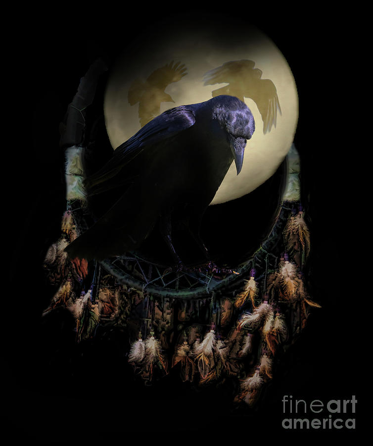 White & Black Raven Dream Catcher – All Diamond Painting