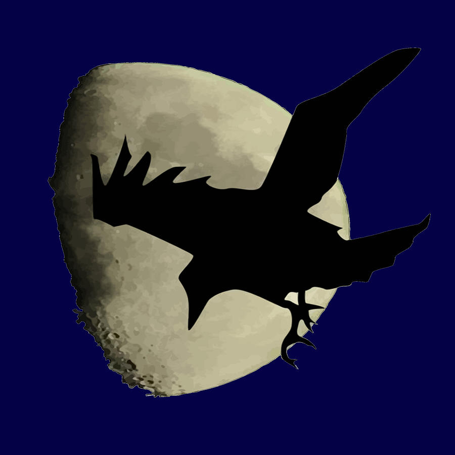 Raven Flying Across The Moon Digital Art