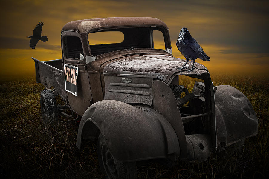 Raven Hood Ornament on Old Vintage Chevy Pickup Truck Photograph by Randall Nyhof