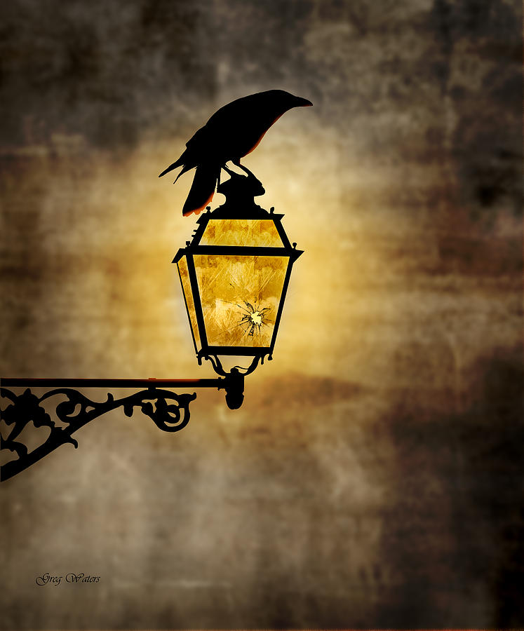 Raven Lamp Photograph by Greg Waters