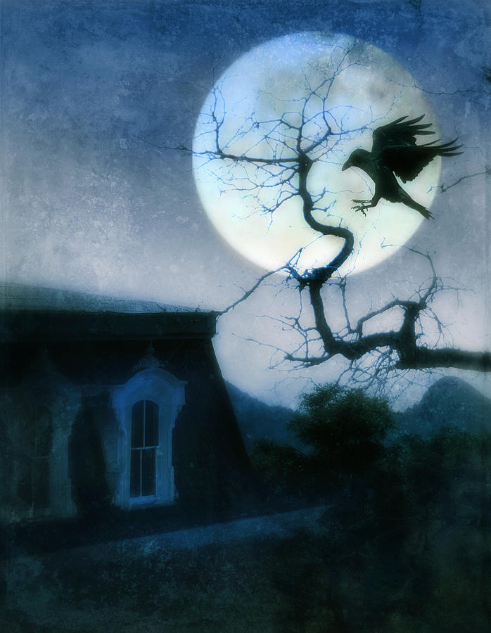 Raven Landing on Branch in Moonlight Photograph by Jill Battaglia