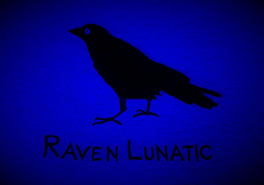 Raven Lunatic Blue Photograph by Rob Hans