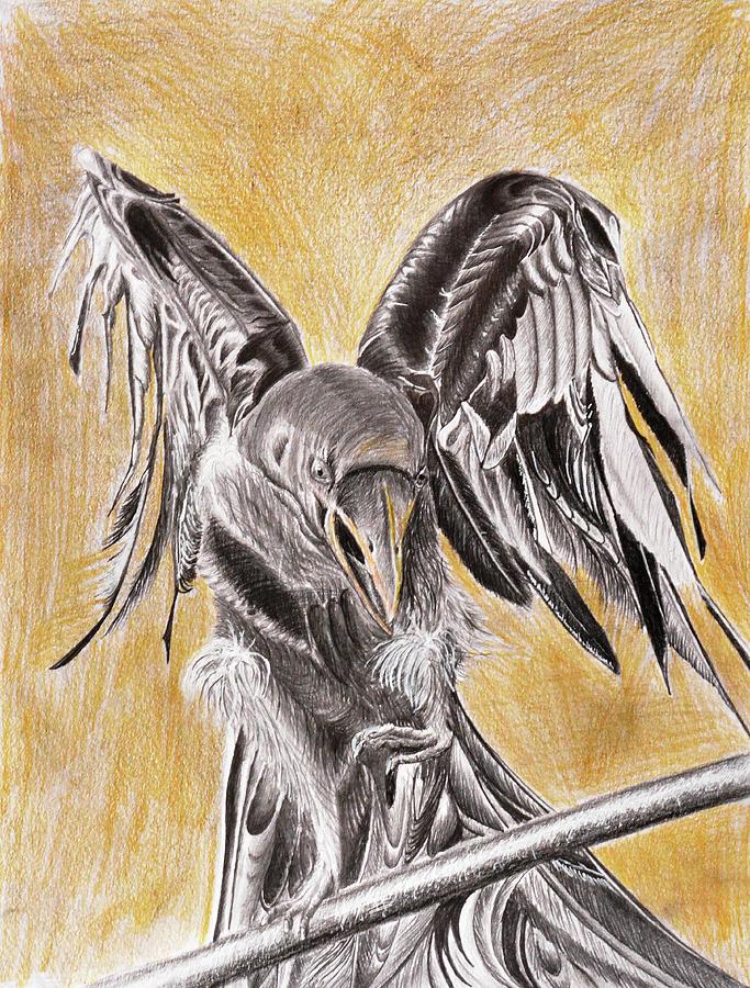Raven Drawing by Medea Ioseliani