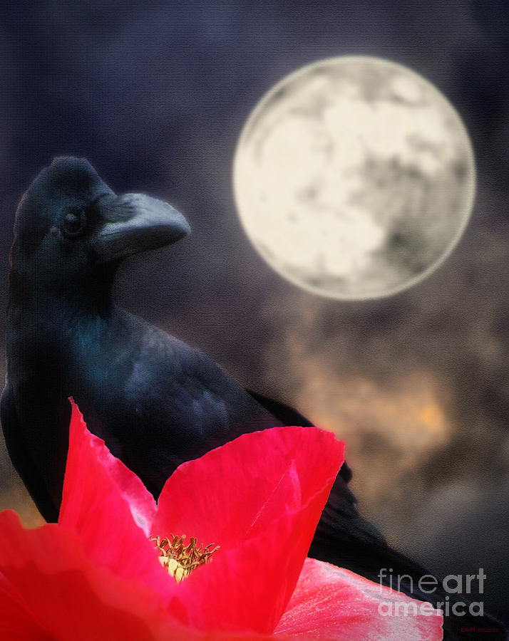 Raven Moon and Poppy Digital Art by Elizabeth McTaggart