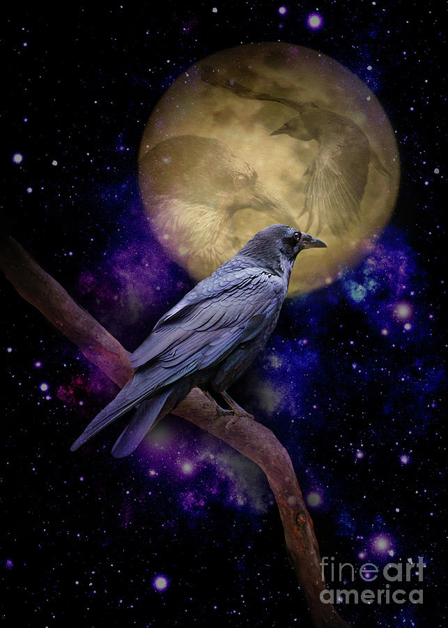 Raven Moon Mystic Animal Totems Galaxy Universe Photograph by Stephanie Laird