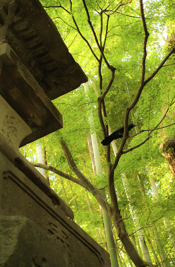 Raven Photograph - Raven Near Shrine by Sam White