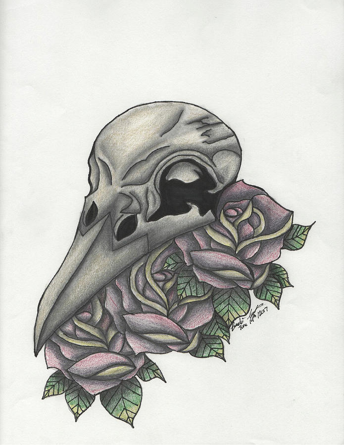 Raven Skull Drawing by Brandi Tompkins Pixels
