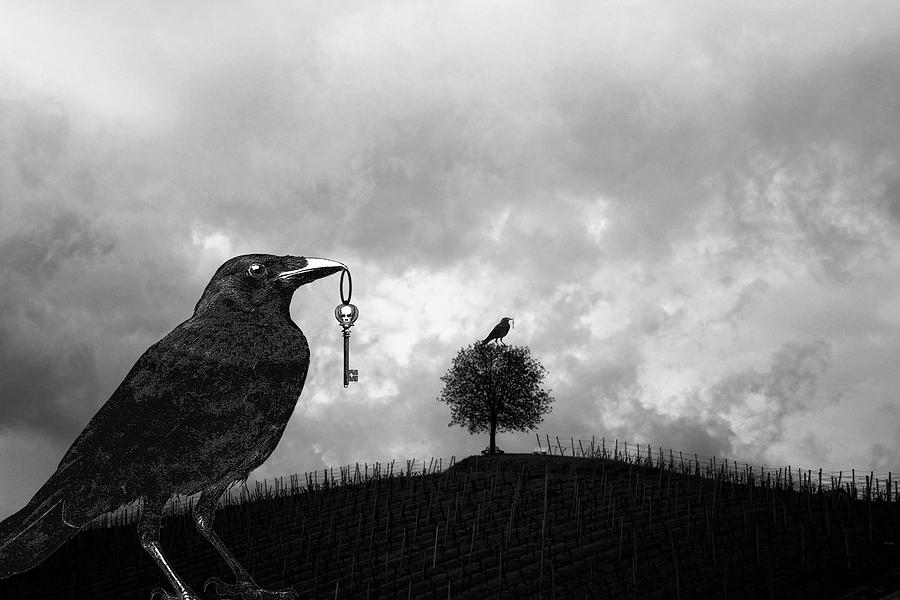Raven Digital Art - Raven Steals A Skeleton Key And Sits On A Tree  by Sandra McGinley