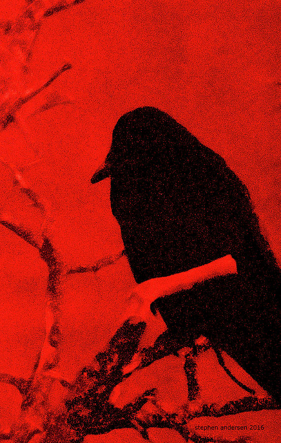 Raven by Stephen Andersen Raven by Stephen Andersen