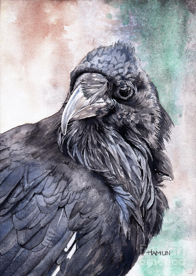 Raven Study Painting by Steve Hamlin