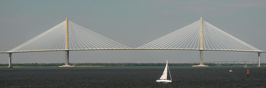 Ravenel Bridge, Charleston, South Carolina Pyrography by Jerry Griffin