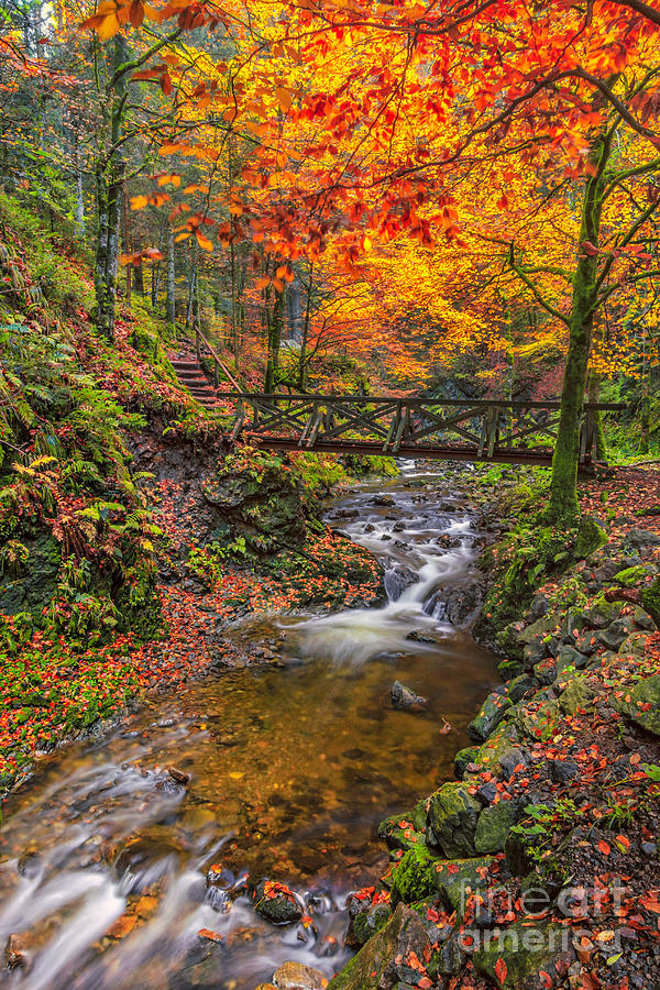 Cascades and Waterfalls Photograph by Bernd Laeschke