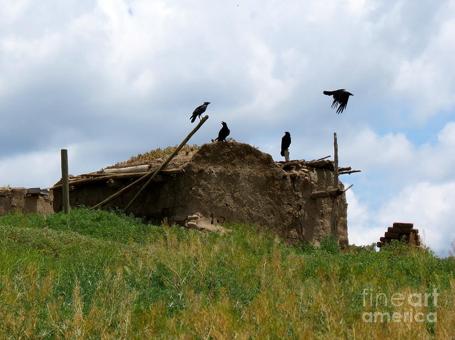 Ravens and Ruins Photograph by Aimee Mouw
