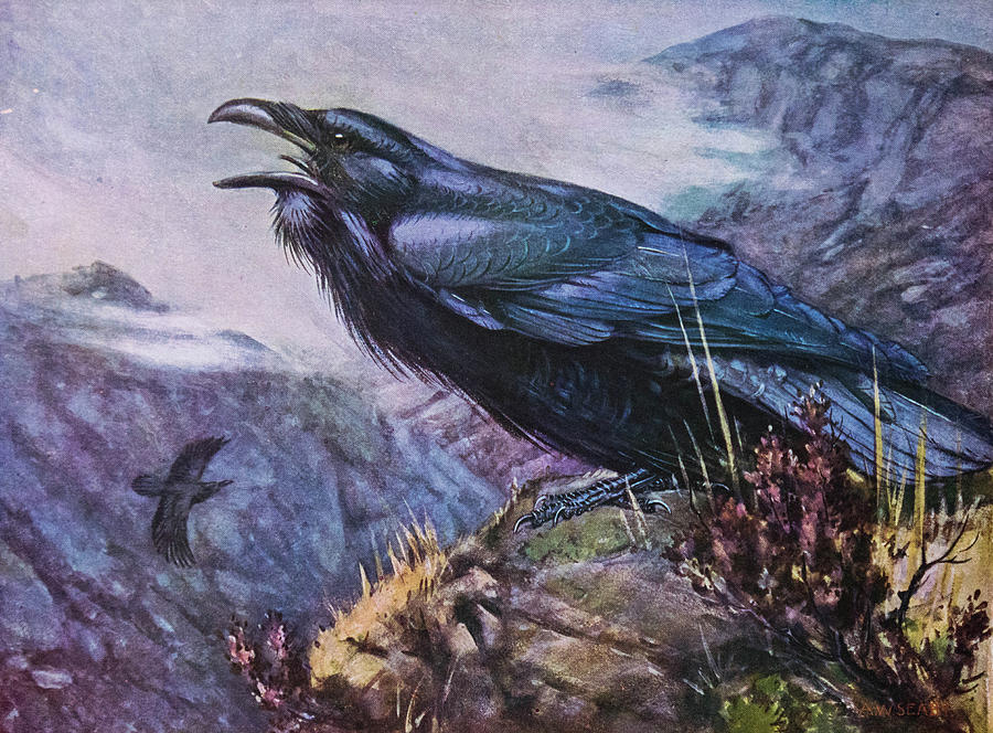 Ravens Bird Art Painting by Jonathan Malory