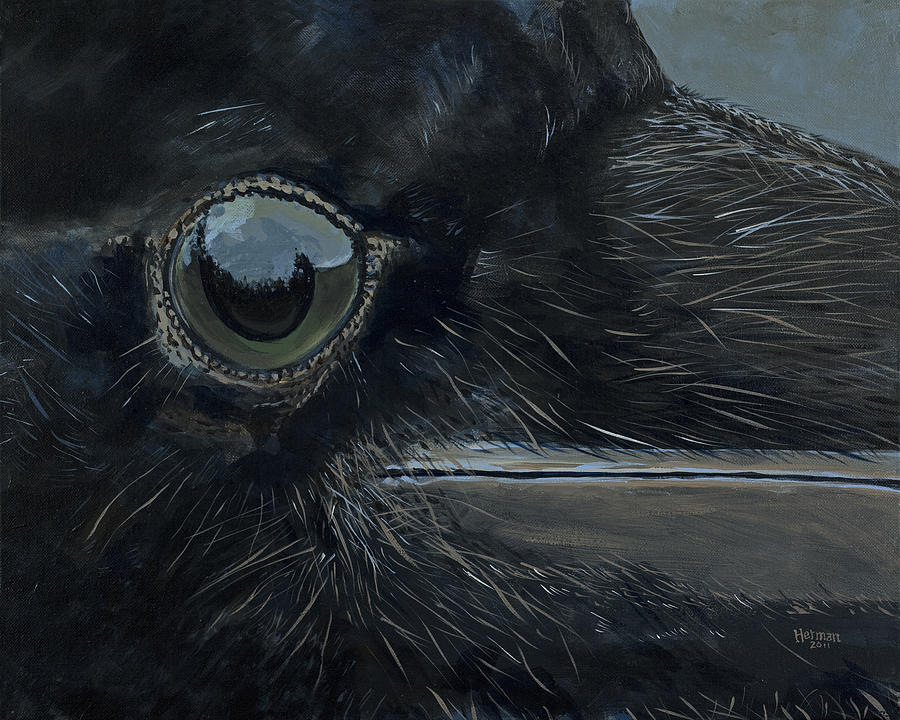 Bird Painting - Ravens Eye by Les Herman