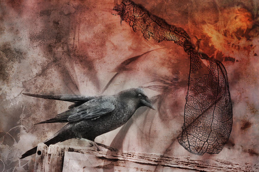 Ravens Lot Digital Art by Sue Capuano