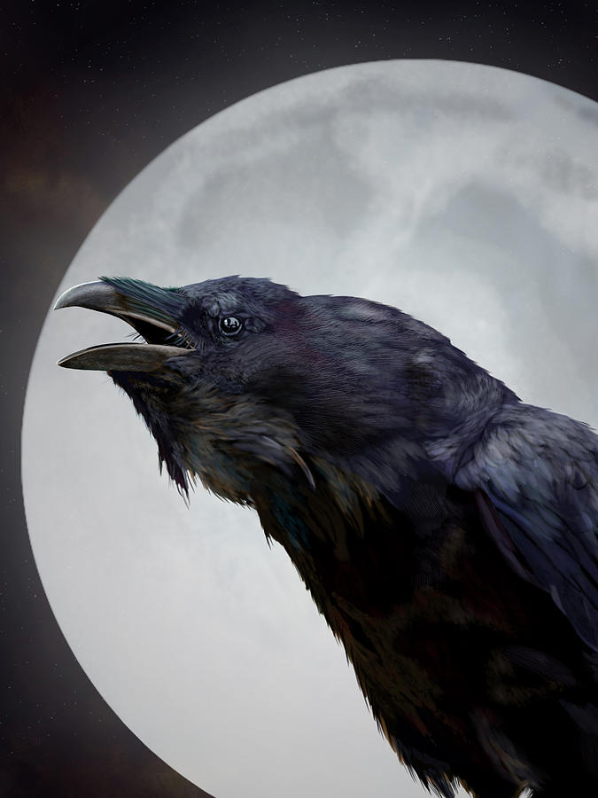 Ravensong by Nigel Follett Ravensong by Nigel Follett