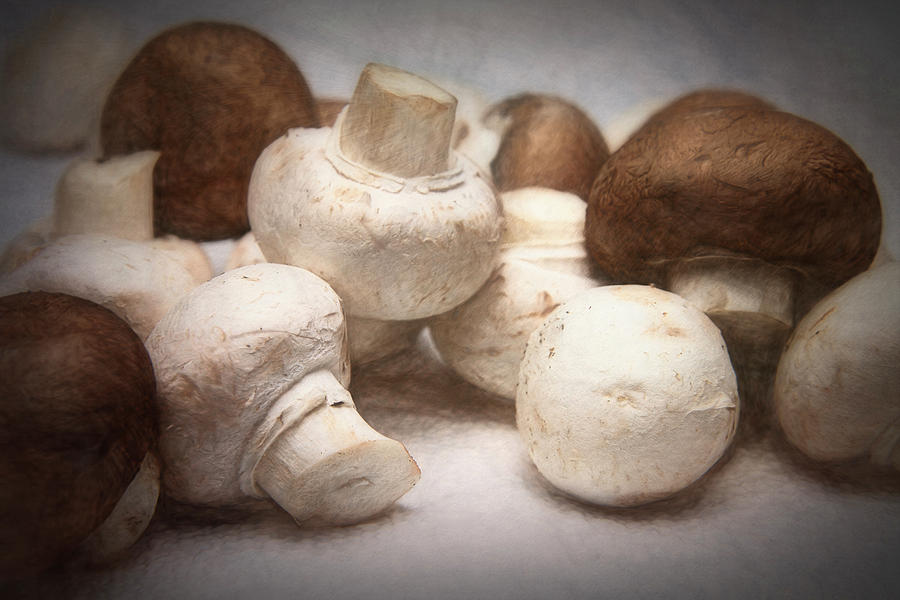 Raw Mushrooms Photograph by Tom Mc Nemar
