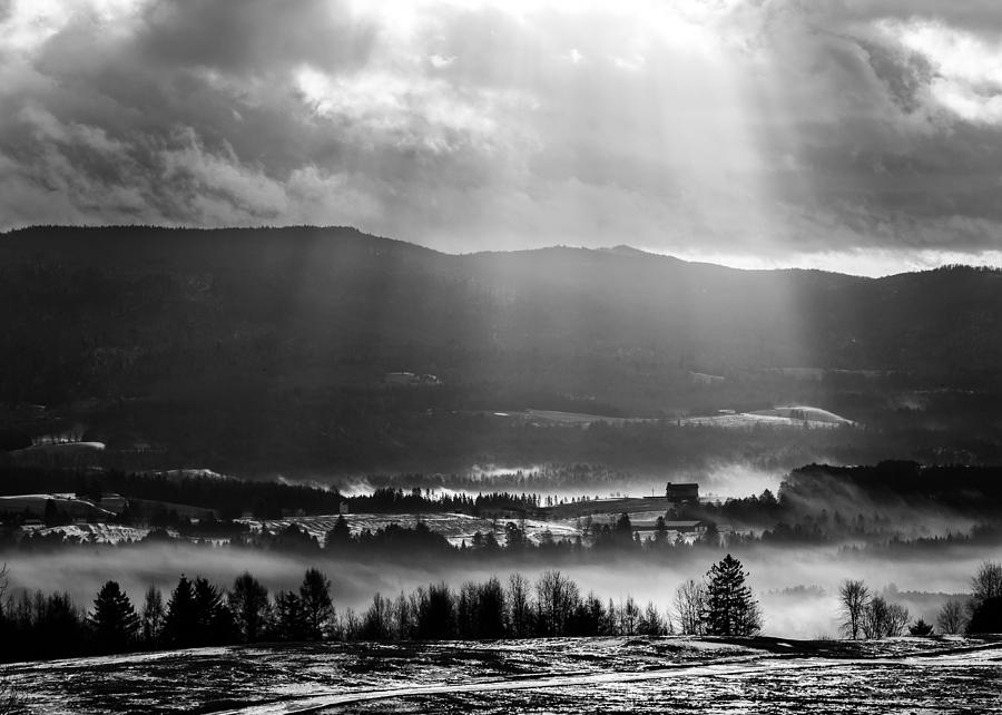 Ray of Winter BW Photograph by Tim Kirchoff