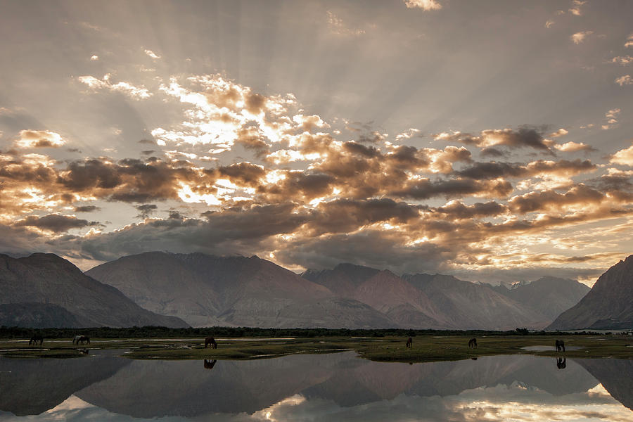 Rays and Reflection, Hunder, 2006 by Hitendra SINKAR Rays and Reflection, Hunder, 2006 by Hitendra SINKAR