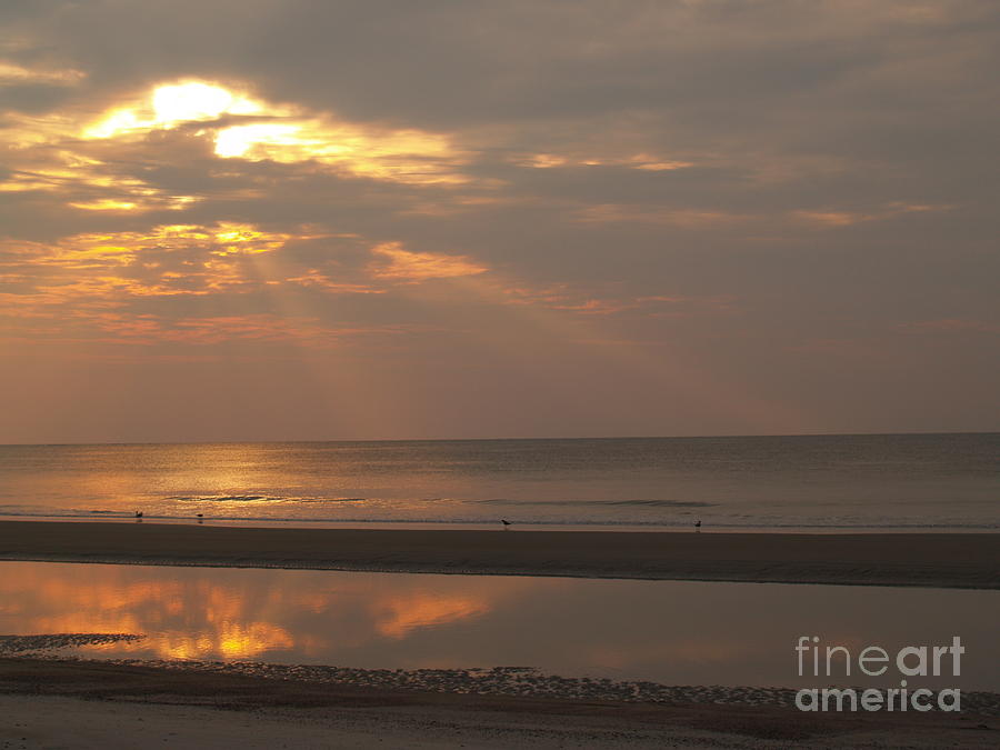 Sunset Photograph - Rays of Dawn at Hunting Island by Anna Lisa Yoder