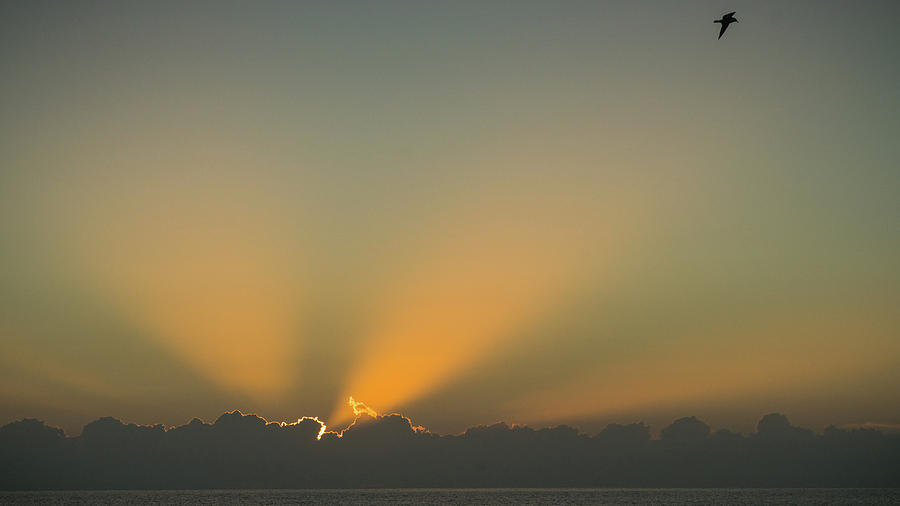 Rays of Hope at Sunrise Delray Beach Florida Photograph by Lawrence S Richardson Jr