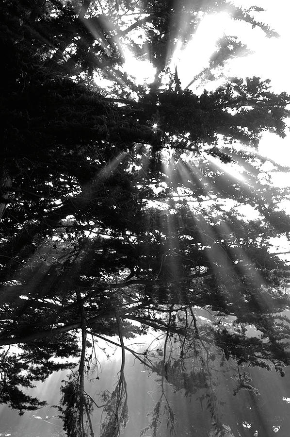 Rays of light BW Photograph by Gary Brandes