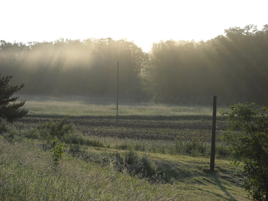 Rays of Sunlight Through Fog Photograph by Kent Lorentzen
