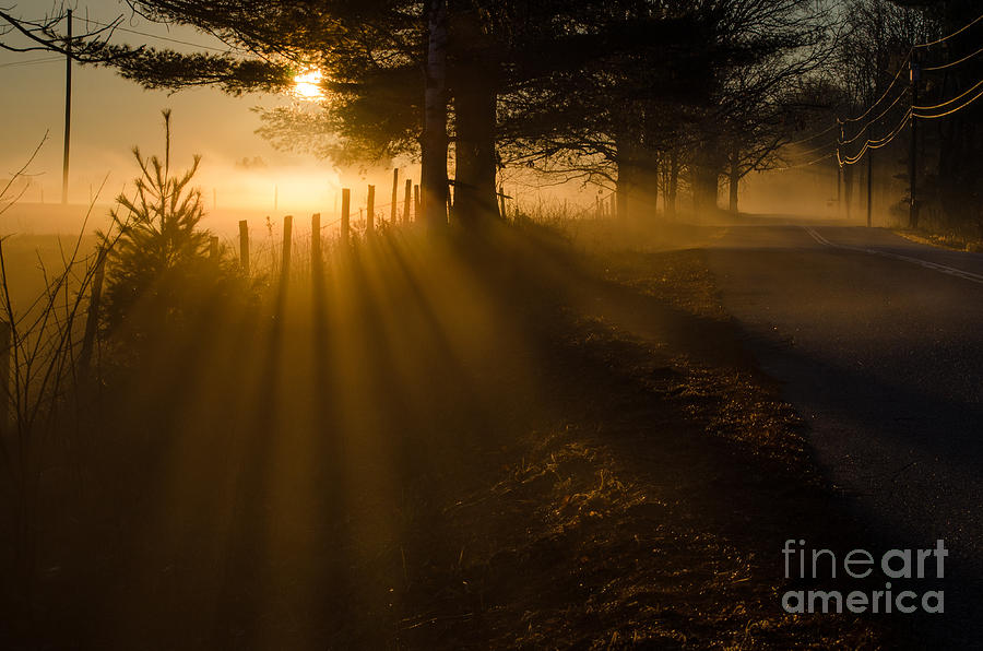 Sunrays Photograph - Rays by Paul Noble