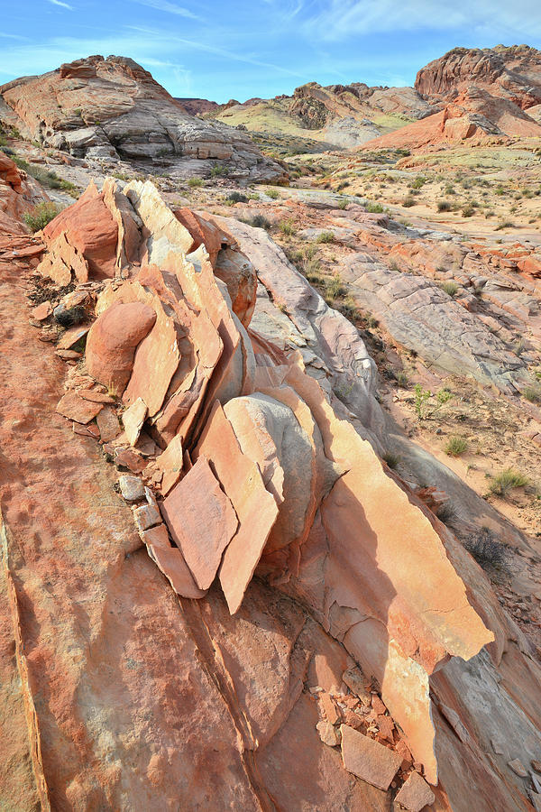 Razor Sharp Sandstone in Valley of Fire Photograph by Ray Mathis