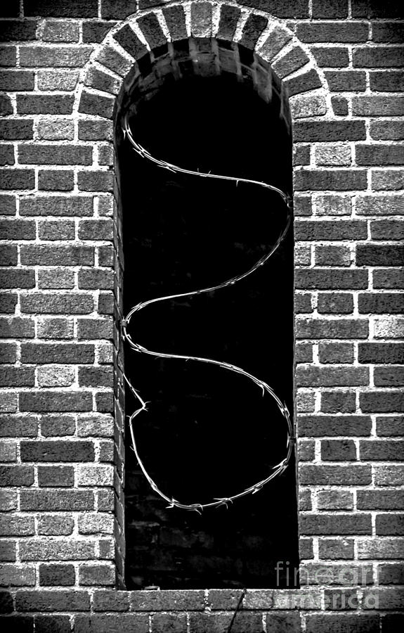Razor Wire Window Photograph by James Aiken