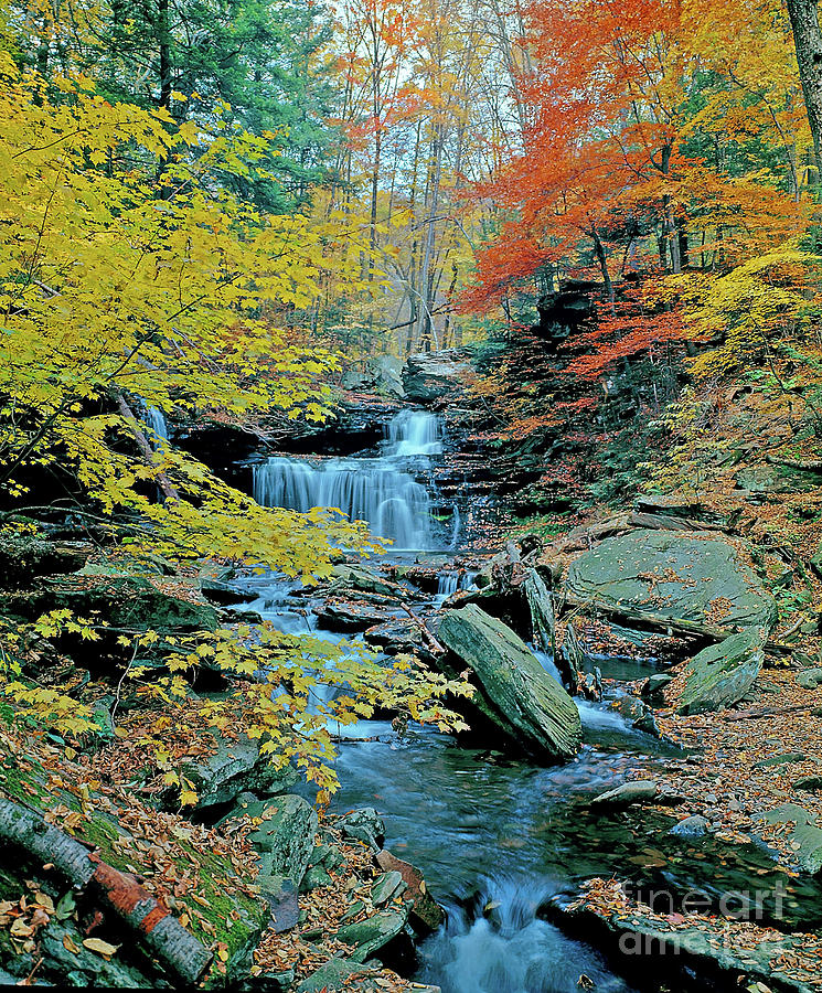 RB Ricketts Falls - Autumn Photograph by Rich Walter