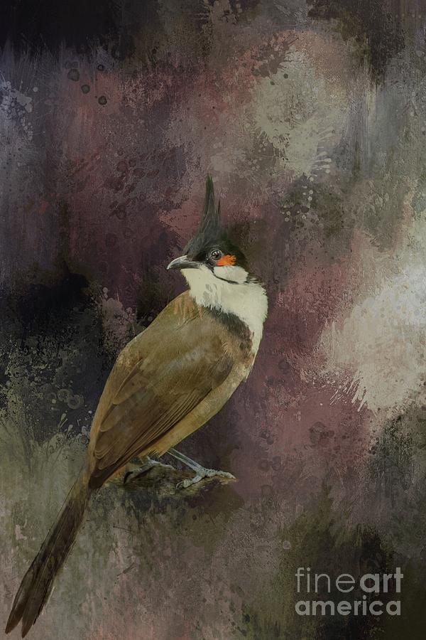 Red-Whiskered Bulbul Photograph by Eva Lechner