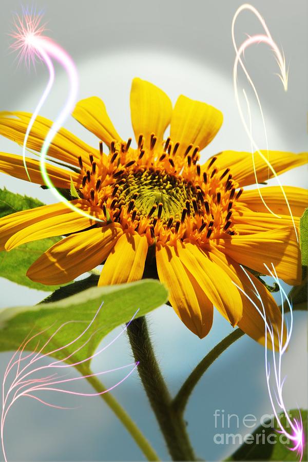 Sunflower Photograph - Reach for the Sun by Lori Mellen-Pagliaro