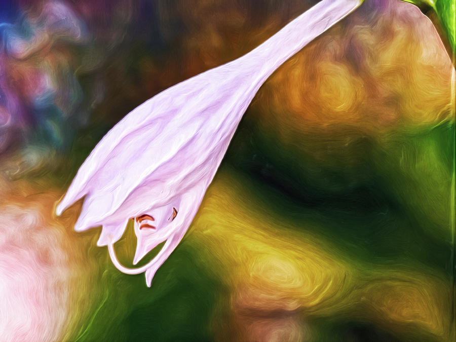 Reach Out Digital Art by Doctor MEHTA Reach Out Digital Art by Doctor MEHTA